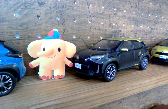 カラーサンプル🚙ミニカー